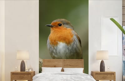 Behang - Fotobehang Vogel - Roodborstje - Tak - Planten - Breedte 120 cm x hoogte 240 cm