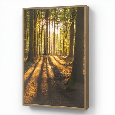 Wandlamp 60x90 cm - Oplaadbaar - Zon - Bomen - Bos - Landschap - Natuur - Wandlampen binnen woonkamer - Slaapkamer lamp - Decoratieve nachtlamp - Vloerlamp draadloos