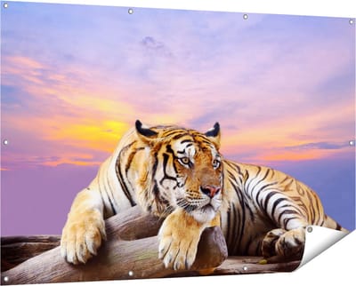 Gards Tuinposter Tijger tijdens Zonsondergang - 150x100 cm - Tuindoek - Tuindecoratie - Wanddecoratie buiten - Tuinschilderij