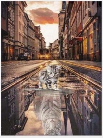 Diamond painting 40x50cm - poes/kat kijkt in plas - ronde steentjes