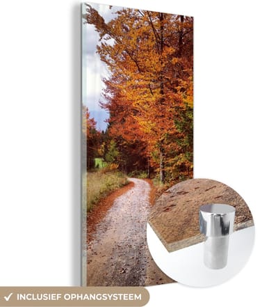 MuchoWow® Glasschilderij 20x40 cm - Schilderij acrylglas - Herfst - Herfstbladeren - Pad - Bos - Foto op glas - Schilderijen