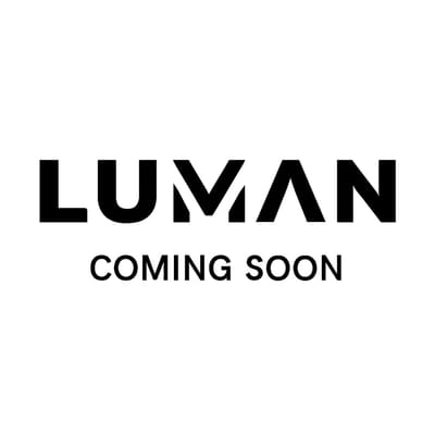 LUMAN Stoomreiniger MAX – 2600W - 60 min Stoomtijd - 2.5L Watertank – Handstoomreiniger & Tapijtreiniger - Zwart