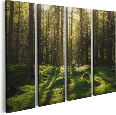Artaza Canvas Schilderij Vierluik Bos met Groen Mos op de Grond - 80x60 - Foto Op Canvas - Canvas Print