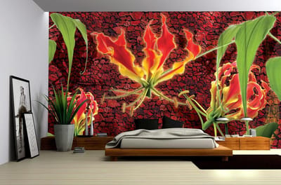 Poster | Groen , Rood | 104 x 70,5 cm