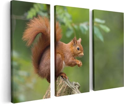 Artaza Canvas Schilderij Drieluik Eekhoorn op een Boomstam in het Bos - 120x80 - Foto Op Canvas - Canvas Print
