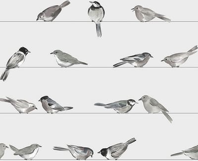Lunch servetten Birds - PPD - 33x33 cm