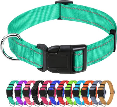 Verstelbare Reflecterende Hondenhalsband - Veiligheid en Comfort voor Middelgrote Honden - Turquoise 2,5 cm Breed