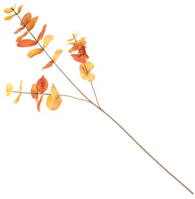 HomeBound by KY | Eucalyptus tak oranje | Eucalyptus | Eucalyptus tak | kunsttak