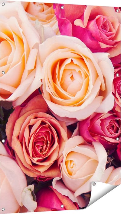 Gards Tuinposter Roze Rozen Achtergrond - Bloemen - 80x120 cm - Tuindoek - Tuindecoratie - Wanddecoratie buiten - Tuinschilderij
