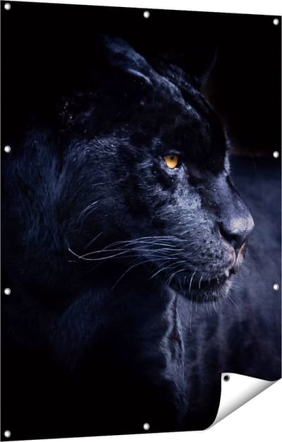 Gards Tuinposter Zwarte Panter - 90x120 cm - Tuindoek - Tuindecoratie - Wanddecoratie buiten - Tuinschilderij