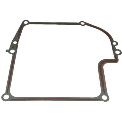 Briggs & stratton carterpakking (4165)