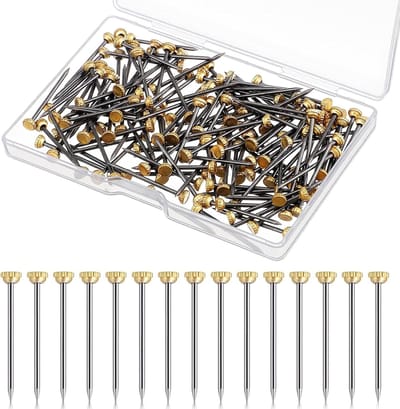 Dailygoods- Spijkers 150 Stuks - Roestvrijstalen Spijkers - Wandnagels - Fotolijsten - Opbergdoos - 25 mm Lengte - Betonnagels