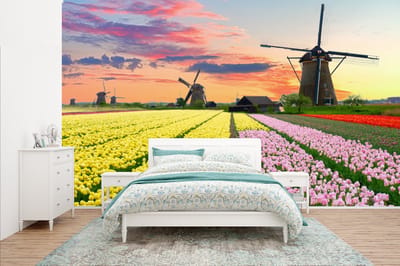 Behang - Fotobehang Tulpen - Windmolen - Natuur - Breedte 435 cm x hoogte 260 cm