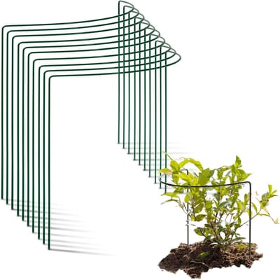 10 struiksteunen halfrond 40 cm Ø50 cm hoog groene vaste plantenhouder bloemenhouder klimplant plantensteun bloemensteun vaste plantensteun klimhulp struikhouder rozensteun