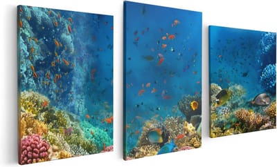 Artaza Canvas Schilderij Drieluik Onderwater Vissen Met Koraal In De Zee - 120x60 - Foto Op Canvas - Canvas Print