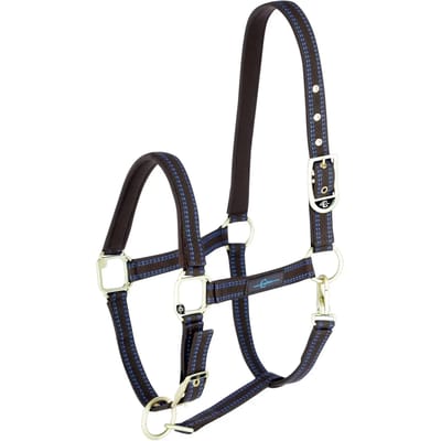 Halster voor paarden Covalliero Royal