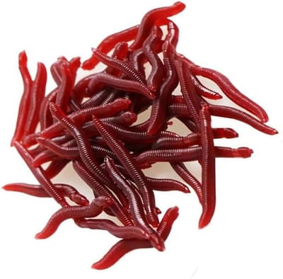 Kunstmatige Regenwormen - Nep Wormen - Vissen - Siliconen Materiaal - 4 cm - Rood