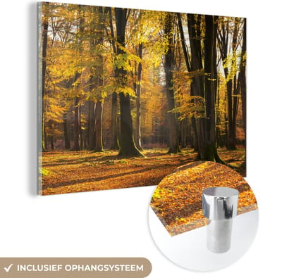 ® Glasschilderij 180x120 cm - Schilderij acrylglas - Oranje herfstbos in het Nationaal park Exmoor in Engeland - Foto op glas - Muurdecoratie woonkamer - Wanddecoratie slaapkamer - Schilderijen