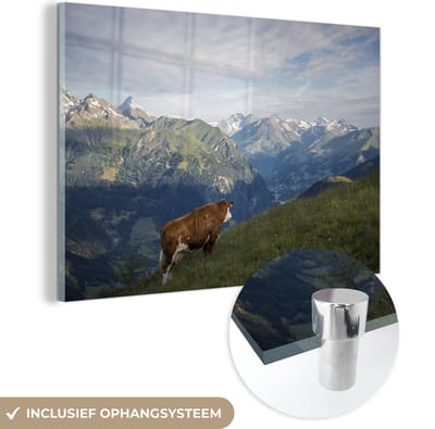 ® Glasschilderij 180x120 cm - Schilderij acrylglas - Koe op de bergweide in het Nationaal park Hohe Tauern in Oostenrijk - Foto op glas - Muurdecoratie woonkamer - Wanddecoratie slaapkamer - Schilderijen