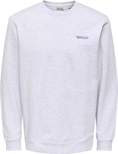 ONLY&SONS - ONSALTA SOCIAL REG CREW NECK - Heren - Sweaters