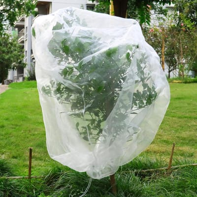 Allecta - Fruitboomnetten 195x175cm voor tuinbescherming tegen vogels, met trekkoord, geschikt voor blauwbessen, aardbeien en groenten