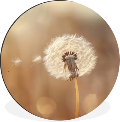 WallCircle - Wandcirkel - Muurcirkel - Paardenbloem - Beige - Natuur - Bloem - Aluminium - Dibond - 30x30 cm - Binnen en Buiten