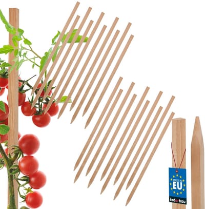 KOTARBAU® 20 st Tomatenstokken, Plantenstok, Beukenhout, 40 cm, Natuurlijk, Plantenstokken, Plantensteun, Houten Paaltjes, Houten Stokken, Tuinbenodigdheden