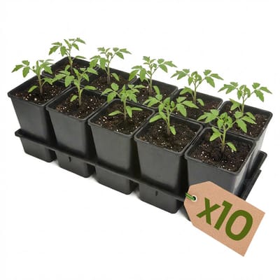 Garronda Set van 10 kweektrays met 10 x 1,7 L potten GD-KW-T