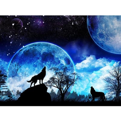 Volledige ronde boor diamant borduurwerk maanlicht Wolf 5D DIY diamant schilderen kruissteek strass 20X30CM black