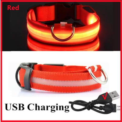 LED Gloeiende Halsband Verstelbare Knipperende Rechargea Lichtgevende Kraag Nacht Anti-verloren Hond Licht HarnasVoor Kleine Hond Huisdier producten L Neck 41-52 CM