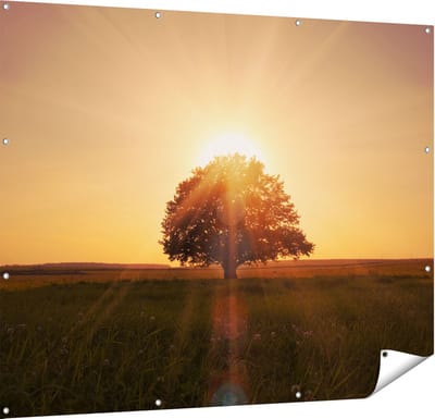 Gards Tuinposter Zonsondergang Achter een Grote Boom - 150x120 cm - Tuindoek - Tuindecoratie - Wanddecoratie buiten - Tuinschilderij