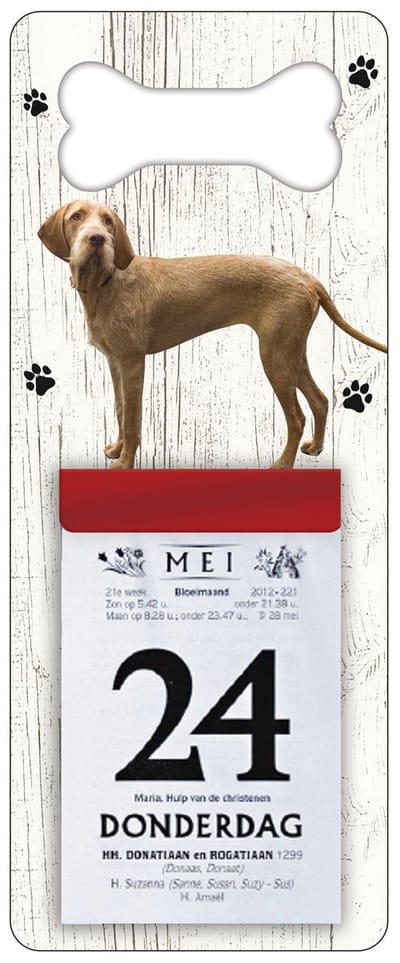 Scheurkalender 2027 Hond: Vizsla Draadhaar