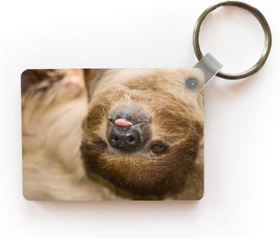 Sleutelhanger - Een luiaard ligt te slapen met de tong uit zijn bek - Uitdeelcadeautjes - Plastic