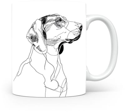Beker Schillerstövare (Schiller Hound)