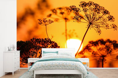 Behang - Fotobehang Planten - Bloemen - Zonsondergang - Oranje - Breedte 420 cm x hoogte 280 cm