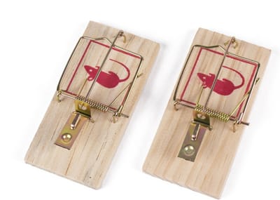 *** 2x Muizenvallen Muis Vangen - Pestcontrol - Classic Muizenval - van Heble® ***