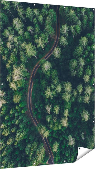 Gards Tuinposter Weg Door Bos met Bomen - Bovenaanzicht - 120x180 cm - Tuindoek - Tuindecoratie - Wanddecoratie buiten - Tuinschilderij