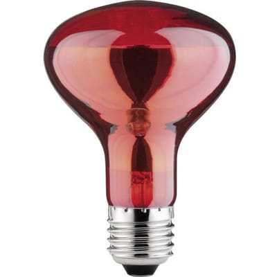 Paulmann Infraroodlamp E27 60 W (Ø x l) 80 mm x 115 mm 230 V 1 stuk(s)