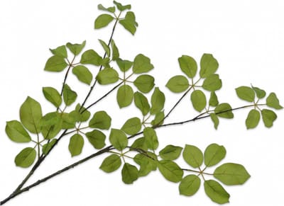 Silk-ka Kunstbloem-Zijden Bloem Gras Tak Groen 120 cm