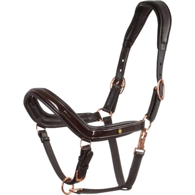 Leren teugels voor paard Equestro