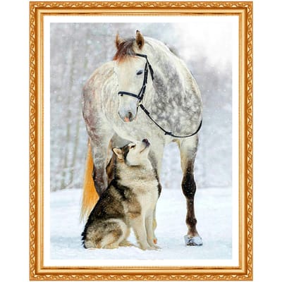 Volledige ronde Diamond schilderij Kruissteek sneeuwpaard & Wolf volledige ronde Diamond Husky winterhond 20X30CM gray