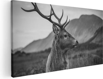 Artaza Canvas Schilderij Hert - 40x20 cm - Klein - Wanddecoratie Gewei - Muurdecoratie Zwart Wit - Schilderijen Op Canvas