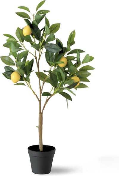 Kunst Citroenboom In Pot 73 cm