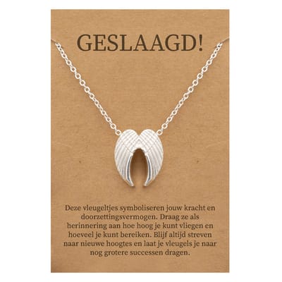 Geslaagd Cadeau Ketting - Engelen Vleugels voor Geluk Sieraad - Zilverkleurig - Gefeliciteerd - Pax Amare