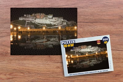 Puzzel Het Potalapaleis mooi verlicht in de nacht - Legpuzzel - Puzzel 500 stukjes