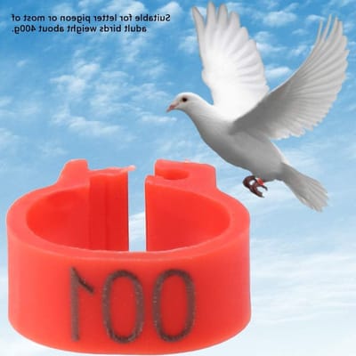 8MM Plastic Pigeon Bands - 100 Genummerde Legringen voor Duiven met Cijfers 001-100, Duivenaccessoires en Vogelringen