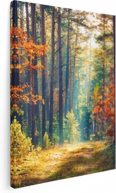 Artaza Canvas Schilderij Herfstbos - 30x40 cm - Klein - Wanddecoratie Bomen - Muurdecoratie Landschap - Kamer Accessoires Natuur
