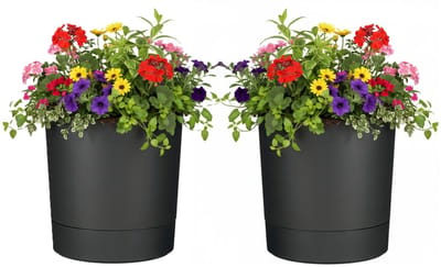 Mica Decorations Bloempot Coco - 2x - met onderschaal - antraciet - H37 x D35 cm - kunststof - buiten