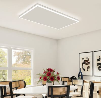 Byecold HHL 700 Watt Infrarood paneel met LED verlichting 108 x 63 cm - Infraroodpaneel / Infrarood Verwarming - Dimbaar en met thermostaat - Met Stekker