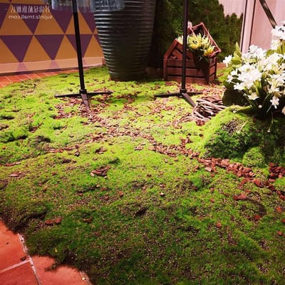 Kunstmos Tapijt - Nep Gras - Decoratie Binnen - Onderhoudsvrij Groen - 100x100cm - Groen